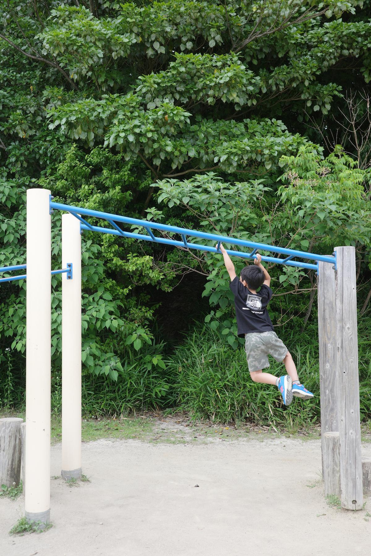 Children playing on monkey bar.