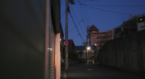 A stunning view of Higashiyama Water-Supply Tower against an autumn backdrop.