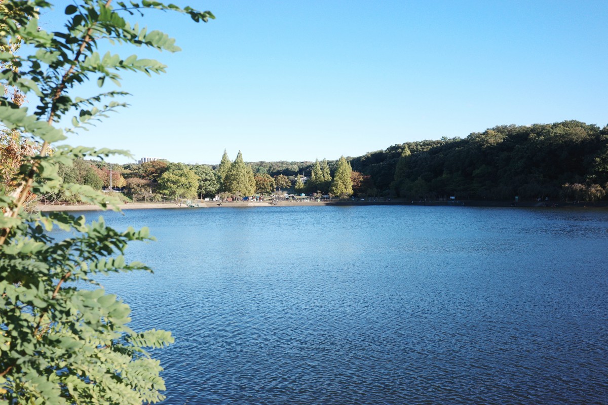 Nekogahara lake at Heiwa Park in Nagoya.