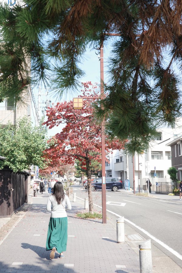 Scenic pathway leading to Nittaiji temple during autumn.