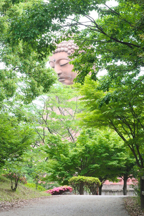 The Great Buddha of Shurakuen partially obscured by green foliage, creating a peaceful and mystical atmosphere.