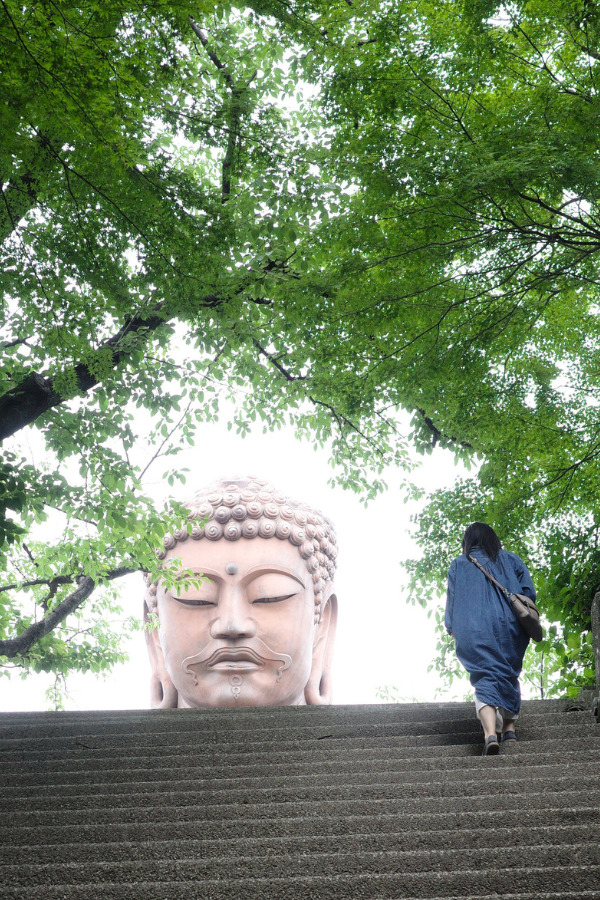 A person ascending a long staircase leading to The Great Buddha of Shurakuen, the Buddha's head visible at the top, framed by trees.