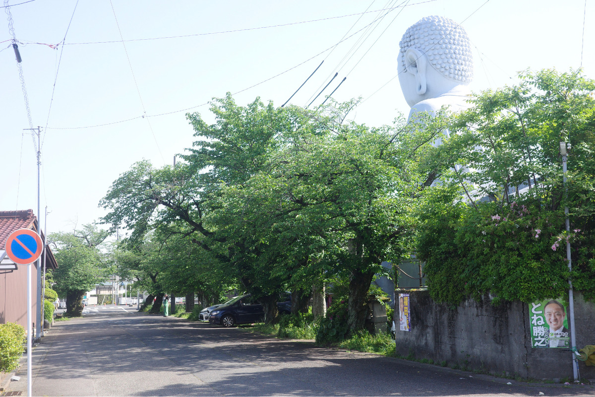 The Great Buddha at Hotei peeking out from behind trees in a residential area.