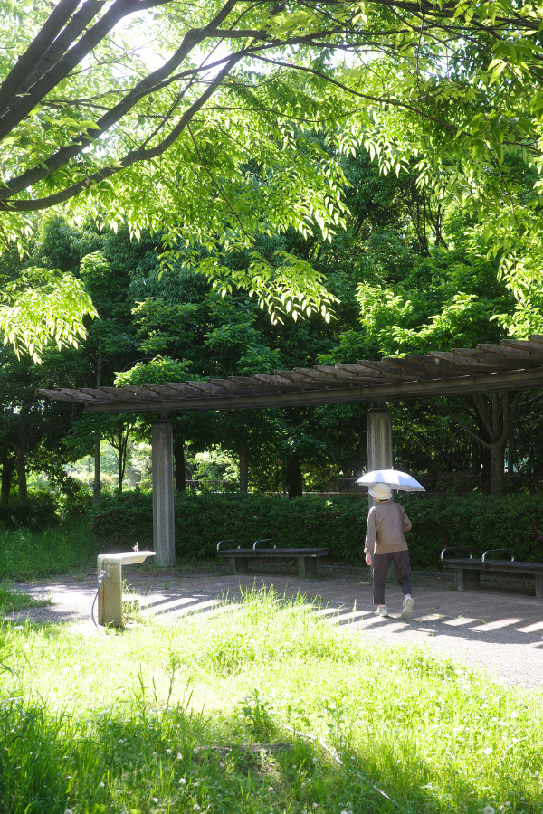 An elderly person strolling under the shaded pergola in Tomita Park, capturing the serene and local charm of this hidden gem in Nagoya.