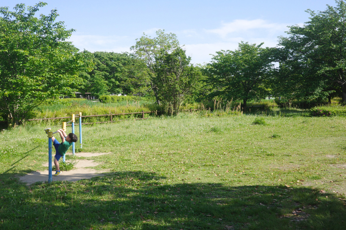 A child playing on the equipment at Tomita Park, with the park's green and natural setting in the background.