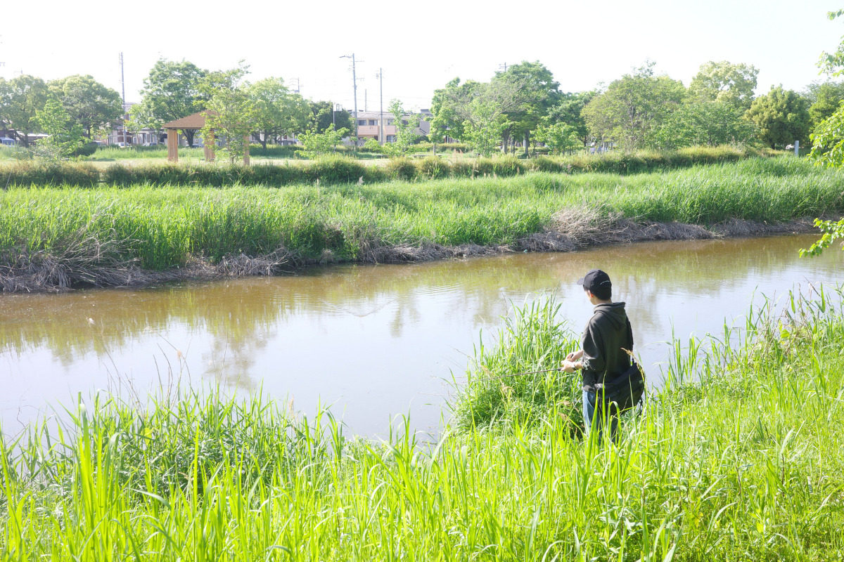 A local fishing at Todagawa River in Tomita Park, surrounded by vibrant greenery and peaceful nature.