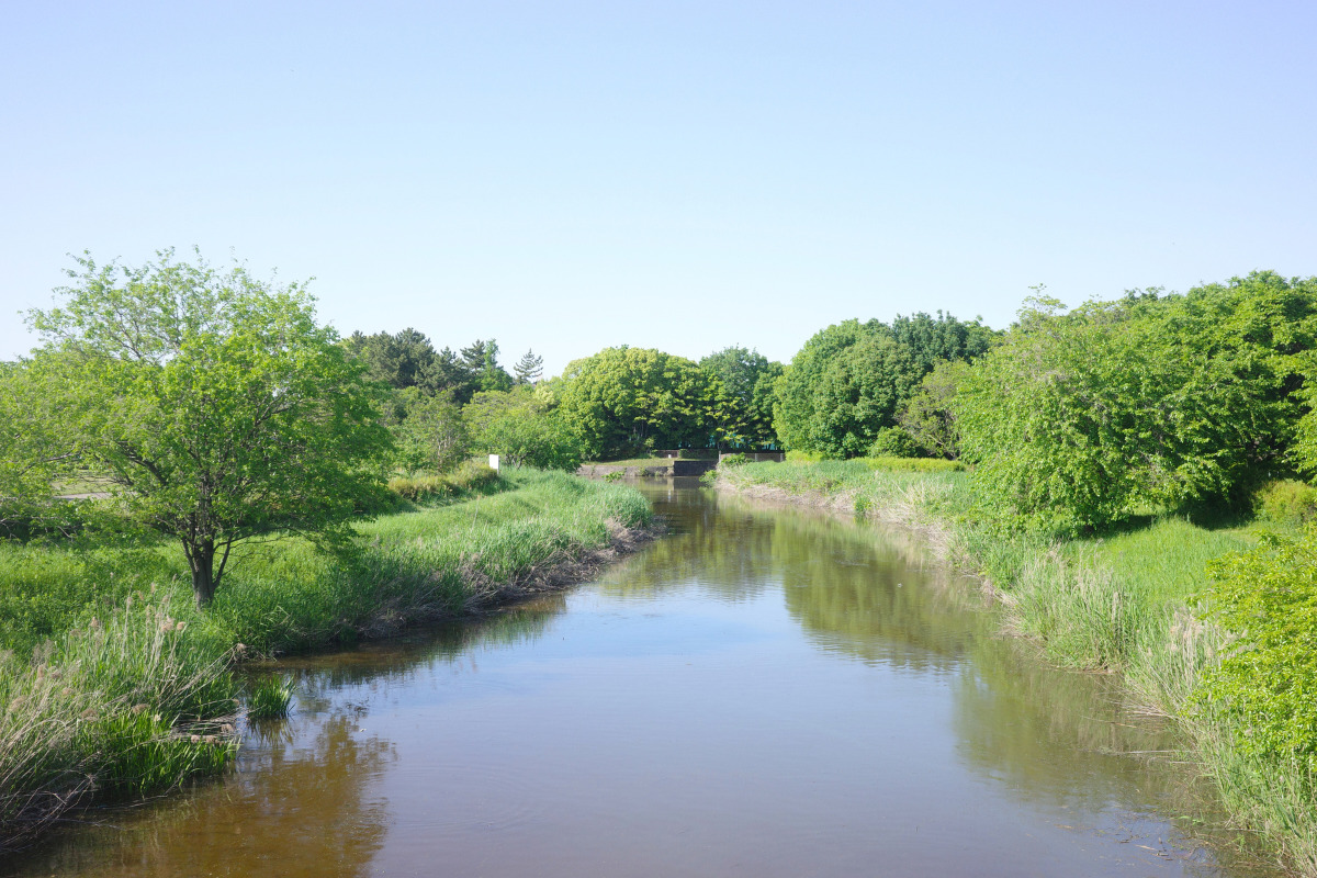 The serene Todagawa River flowing through Tomita Park, showcasing its lush greenery and tranquil atmosphere.